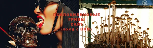хмурый Верхний Тагил