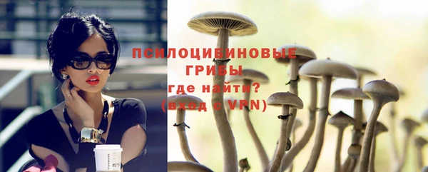 прущая мука Богородск