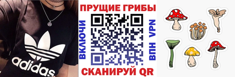 Галлюциногенные грибы MAGIC MUSHROOMS  hydra ТОР  Верхоянск 